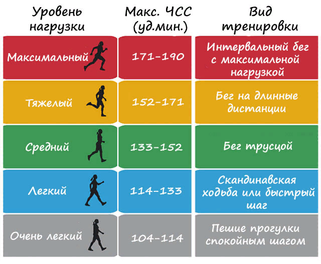 pasted image 0-5.png